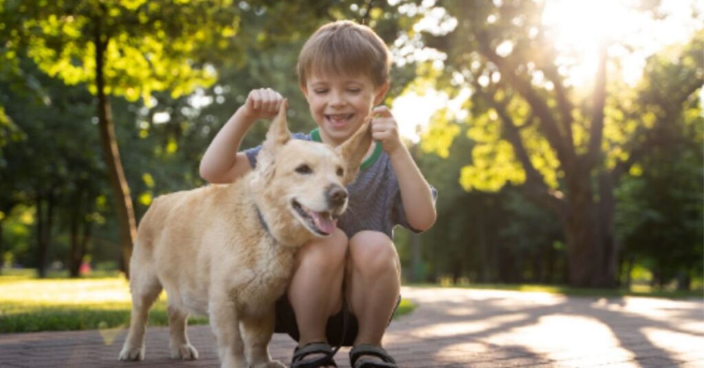 Can Pets Get Head Lice?