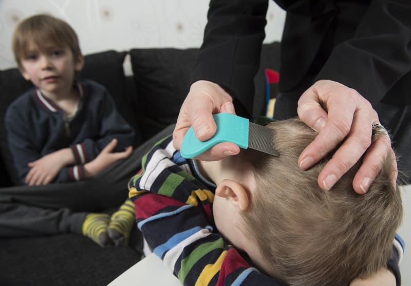 Professional Lice Treatment Options