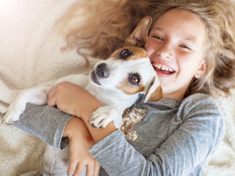 head lice spread through pets